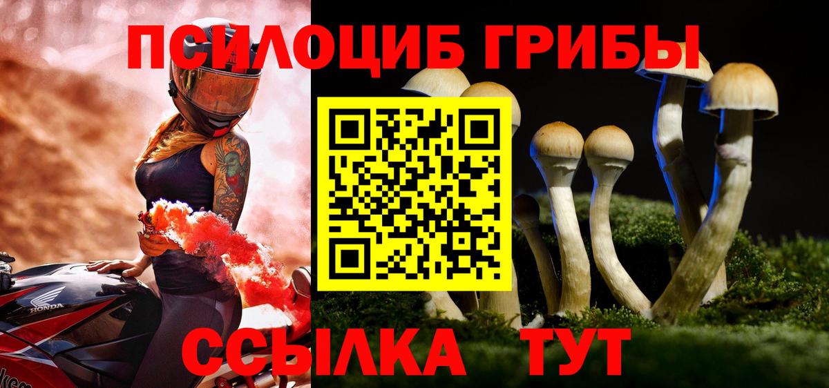 Псилоцибиновые грибы прущие грибы  Вход с VPN  Йошкар-Ола 